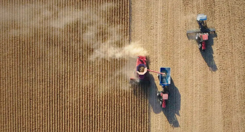 Still image from Food, Inc. 2.